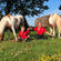 Ponyrijden in de zomervakantie