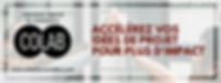 www.colablaurentides.com (1)-1.png