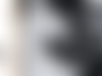 Videographer holding a camera.