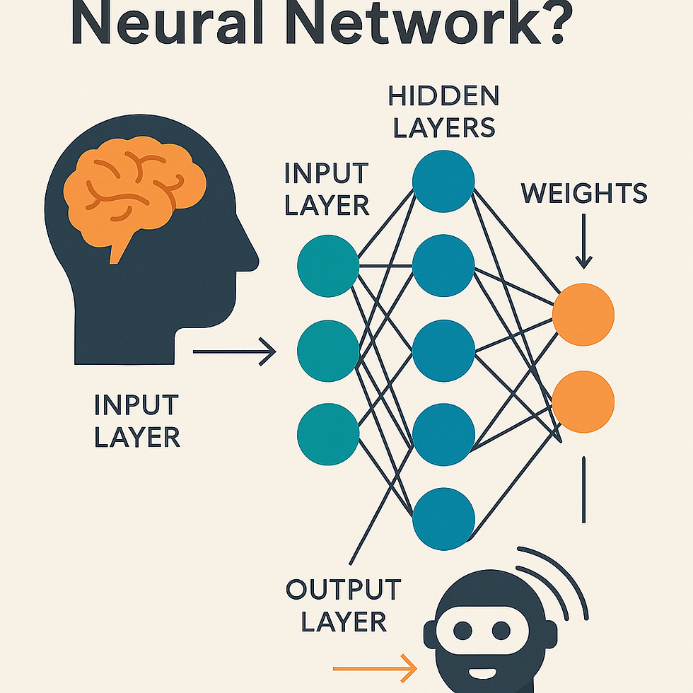 neural networks