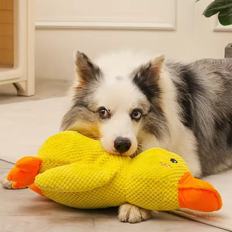 Thumbnail: Duck dog toy plush chew resistant durable dog toy with quacking sound teeth grin