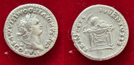 Domitian AR Denarius                                                           RIC 271 [Titus]