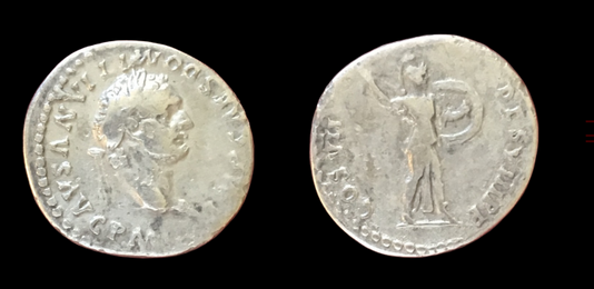 Domitian AR Denarius 81 CE    (Group 3)