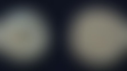 Vespasian AR Denarius 71 CE (Group 5)