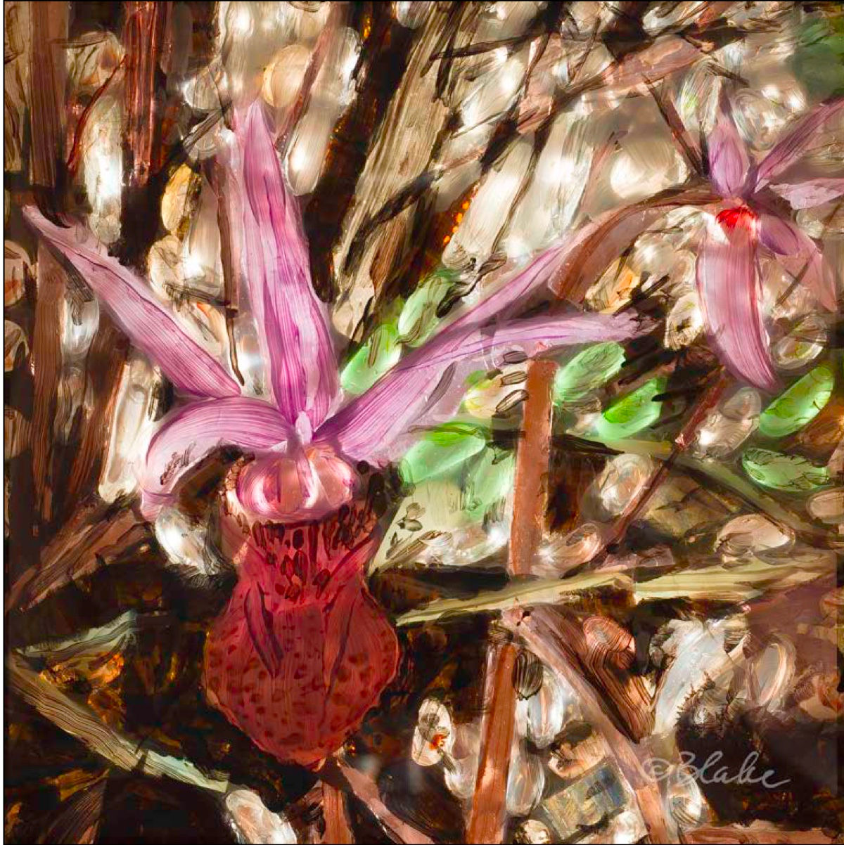 Fairy Slipper print