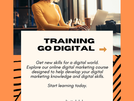 Professional Digital Marketing Training Programs In Faridabad
