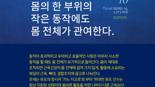 몸전체가 관여하는 유기적 움직임, 알렉산더테크닉