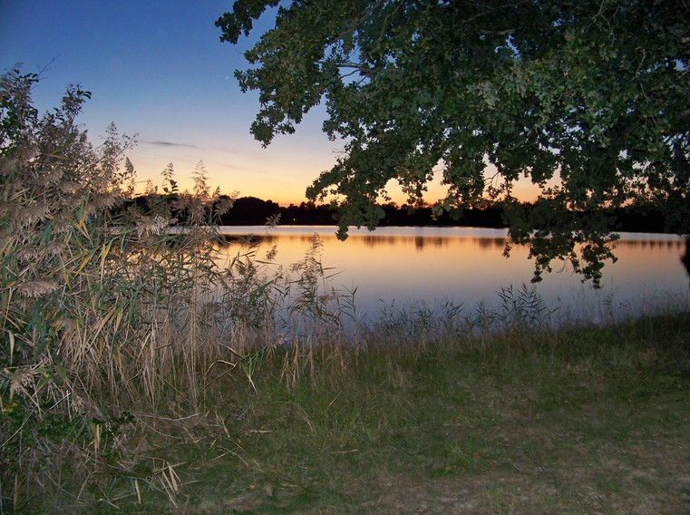 100_4681.JPG
