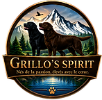 grillos_spirit_transparent (1).png