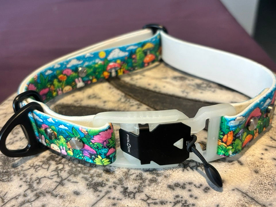 Thumbnail: Colliers personnalisables avec attache Fidlock et Biothane® Imprimé UV