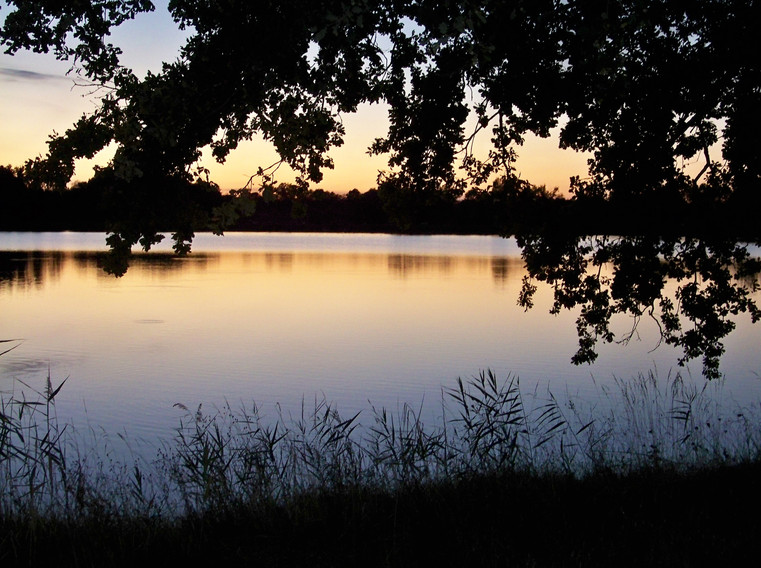 100_4676.JPG
