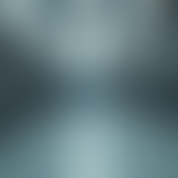 Finding the Best Commercial Dishwashers in NYC: Your Guide to Top Dishwasher Suppliers NYC