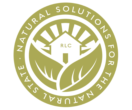 image (1).png