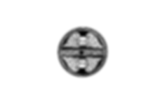 Untitled-Artwork%20(3)_edited.png