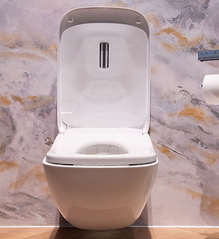 smart shower toilet