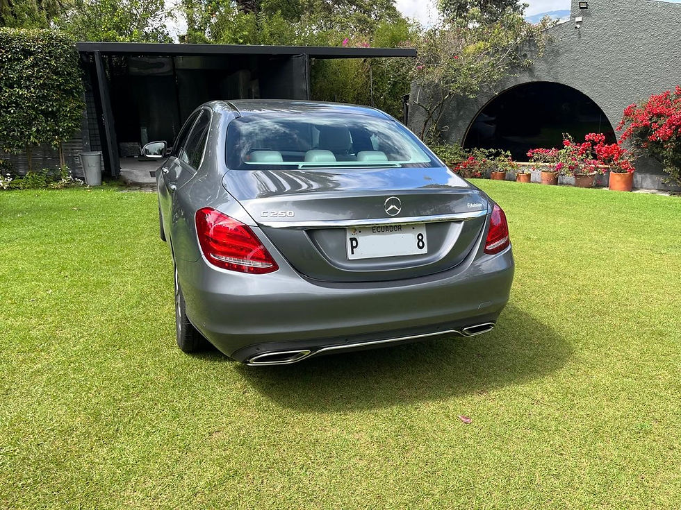 MB C250 2017 (3)