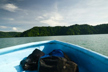 Into the Gulf