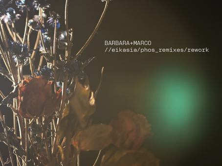 Global Voices Reshape Eikasia in Barbara+Marco’s New Remix Project