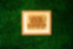 NEWSCI-10.jpg