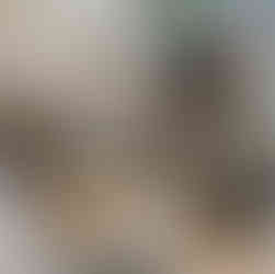 Interior photo of fireplace and furnished living room, brown wood floors and floor to ceiling windows, with stairs to the upstairs