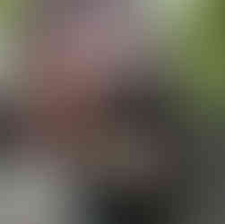 Before exterior back stairs photo of Lake Naomi rebuild