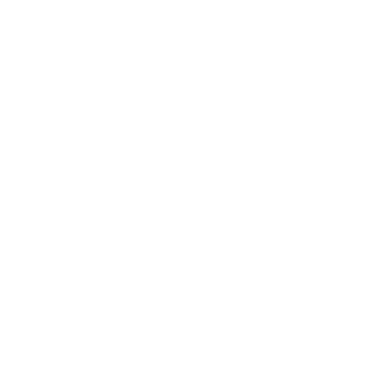 Robert-Ace-Builders-Logo_Icon - Color White.png