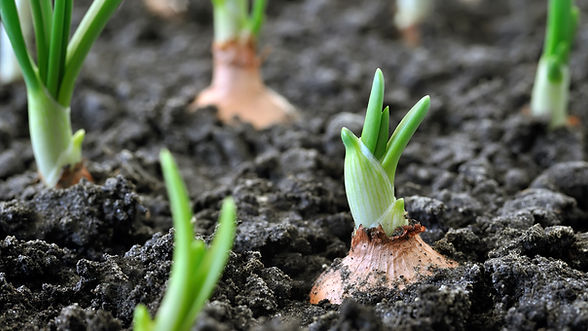 8BCC02D3-3ADD-4DBF-8B93-56867224072C.jpe