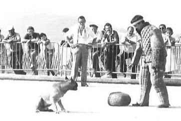 IMAGE 2025-10-14 22_07_44_edited.jpg