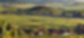 banniere-zellenberg-2a24e7f5.jpg