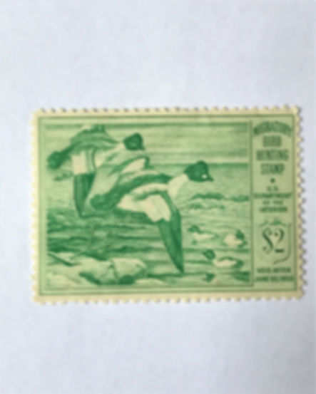 Stamps - United States Duck Stamp - Scott #RW16