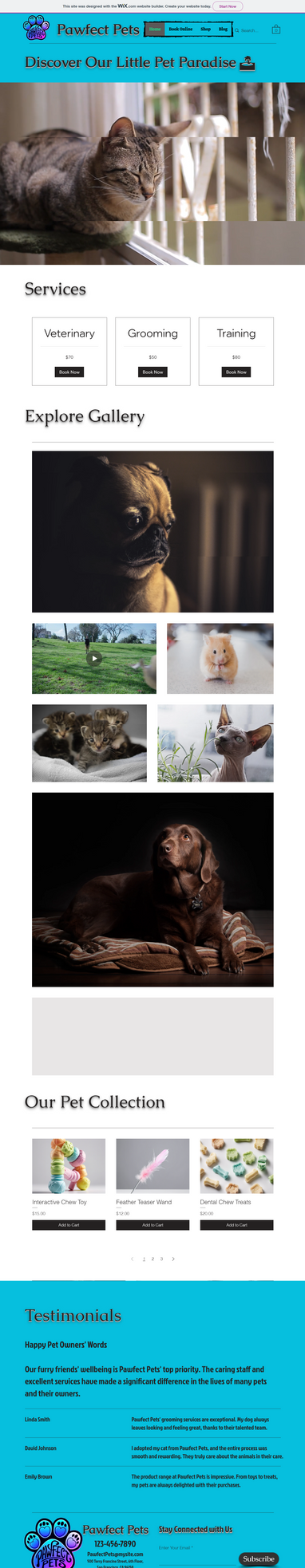 Pawfect Pets Home Page