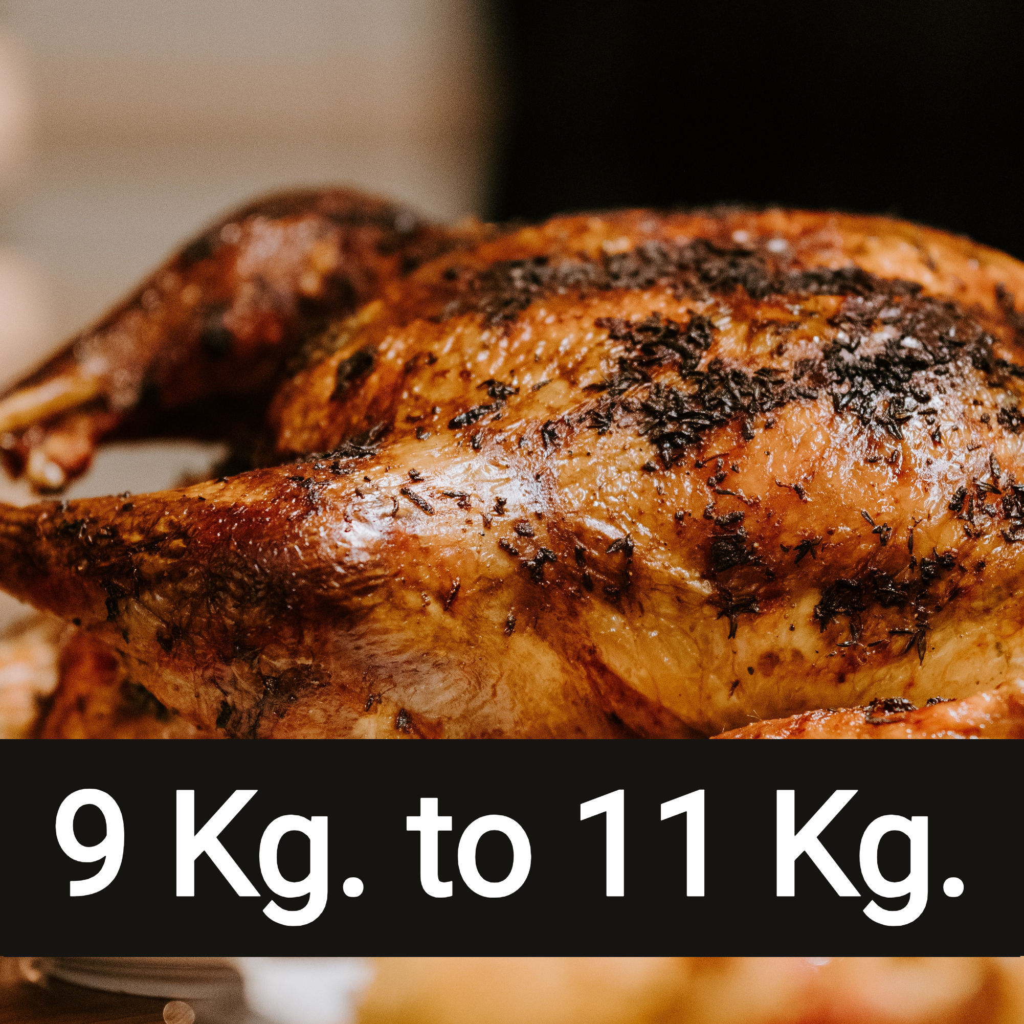 Fresh Ontario Turkey 9 Kg to 11 Kg ($30 deposit to reserve) THX2026