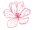 Copy of Copy of Stowers’ (2).png