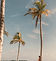 jared-rice-HN9X7gNreqA-unsplash (1)_edit