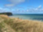IMG_5500.jpeg