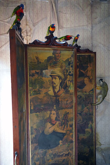 Four ethically sourced taxidermy rainbow lorikeets perch on Victorian mahogany four fold dressing screen decorated in antique sepia images whilst a taxidermy squirrel monkey climbs the side. Part of the Doe & Hope X Hannah Matthews collection.