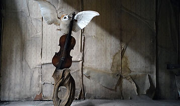 Hannah Matthews owl 1.jpg