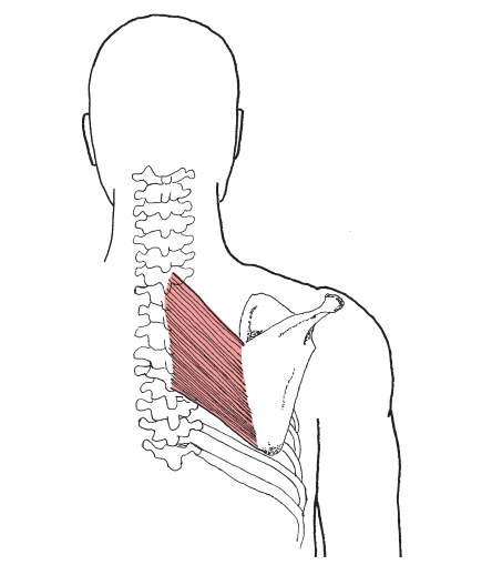 Sport Massage