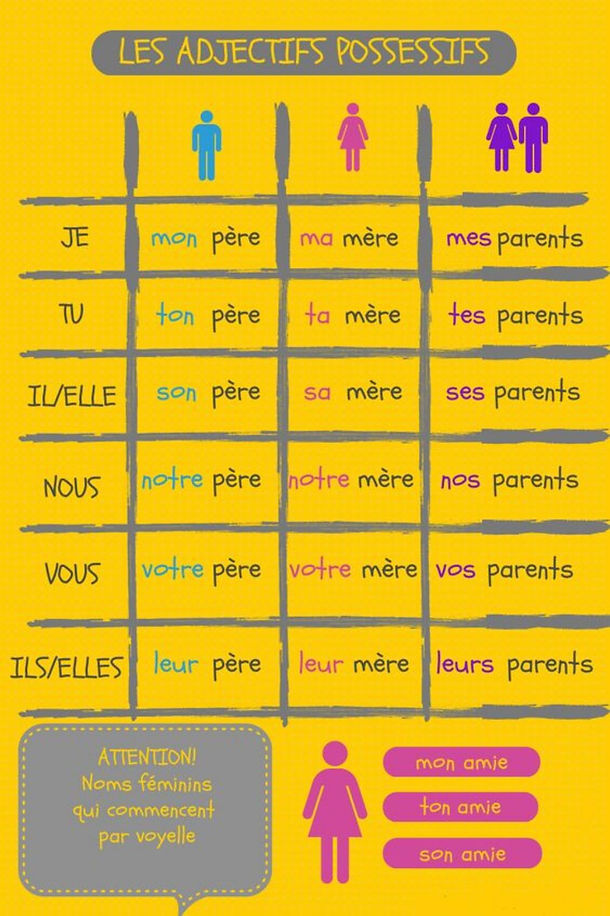 Les adjectifs possesifs 3.jpg