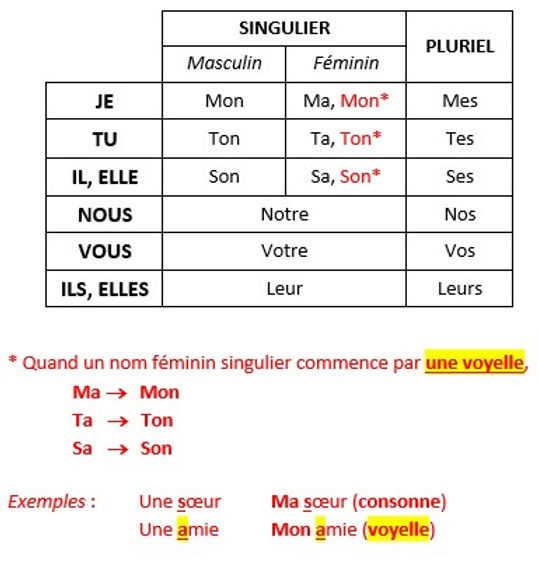 Les adjectifs possesifs 1.jpg