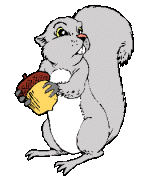ardilla-01.gif