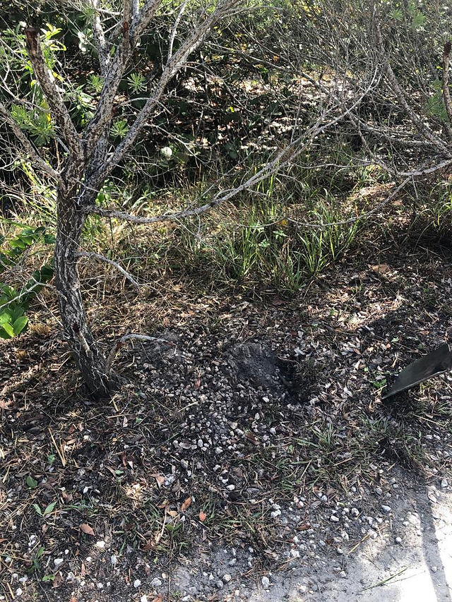 Florida Parks