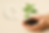 ChatGPT Image 22 abr 2025, 16_50_40.png