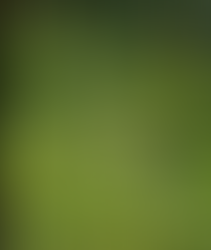 How to Offset the Corporate Footprint