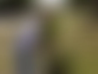 Preparing the Ground Before Planting