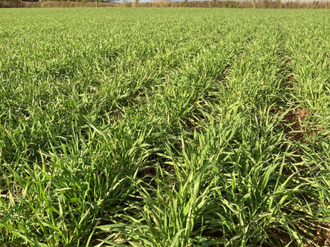 Winter 2022 Update. New Year, New Opportunities