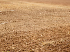 GUARATINGUETÁ REALIZARÁ AUDIÊNCIA SOBRE ALTERAÇÃO E AMPLIAÇÃO DA LEI DE USO E OCUPAÇÃO DE SOLO