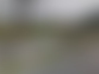 LEILÃO DE TERRENOS DA PREFEITURA DE CARAGUATATUBA TERMINA COM DOIS LOTES ARREMATADOS POR R$ 4,6 MILHÕES