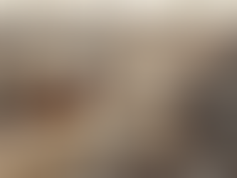 CONAB VÊ QUEDA DE 4,3% NA PRODUÇÃO DE CARNE BOVINA EM 2025 COM REVERSÃO DO CICLO