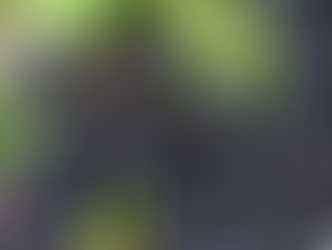 CASCA DA JABUTICABA REDUZ INFLAMAÇÃO E GLICEMIA EM QUEM TEM SÍNDROME METABÓLICA